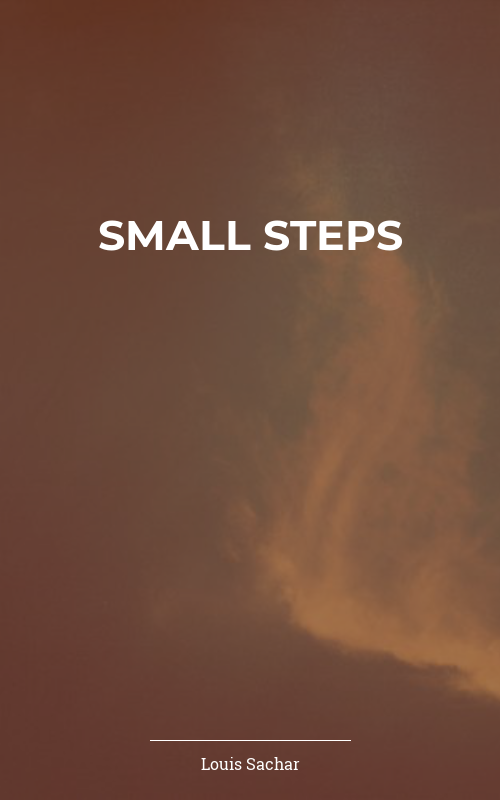 Small Steps